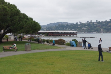 SONY DSC